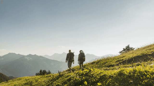 pro-carousel-header.pdf